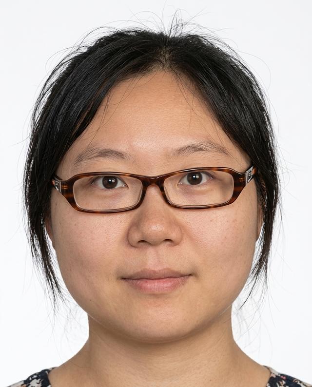 Zhao Xin