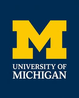 Center for Academic Innovation Experts