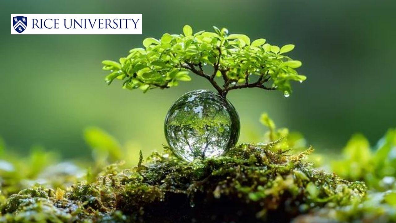 Introduction to Biology: Ecology