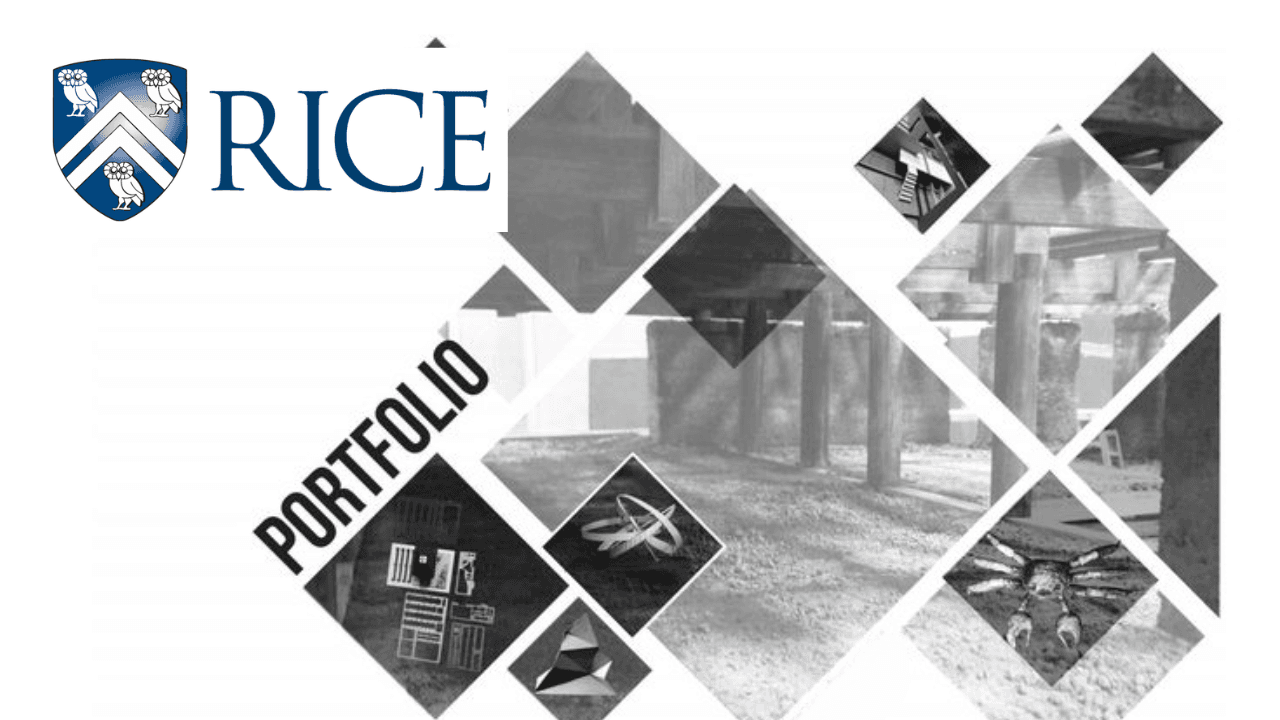 Biases and Portfolio Selection