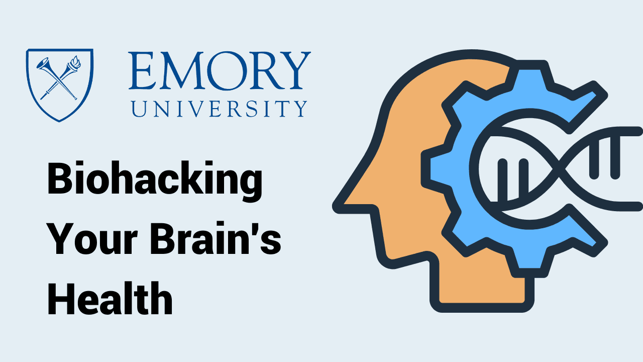 Boost Your Brain: 4 Keys to Mental Wellness