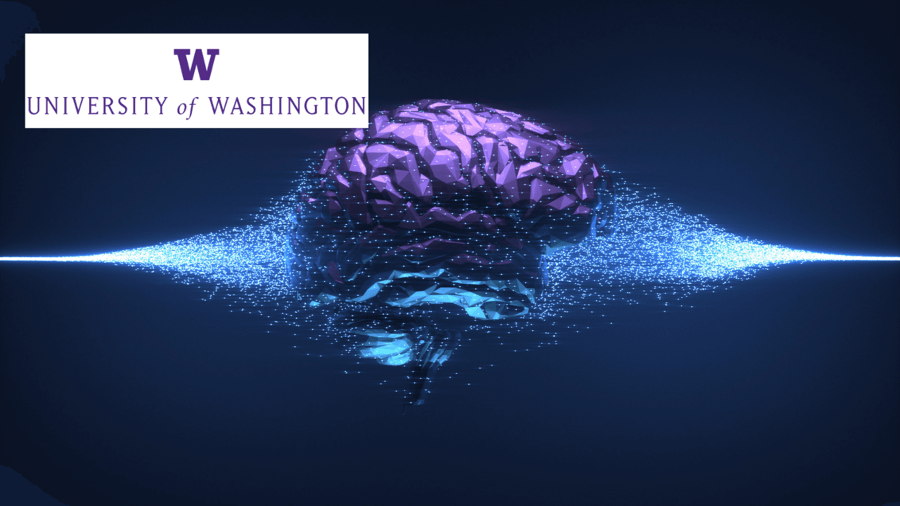 Computational Neuroscience: Brain Function Insights