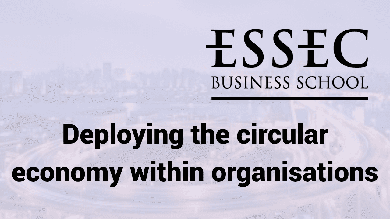 Circular Economy in Organizations