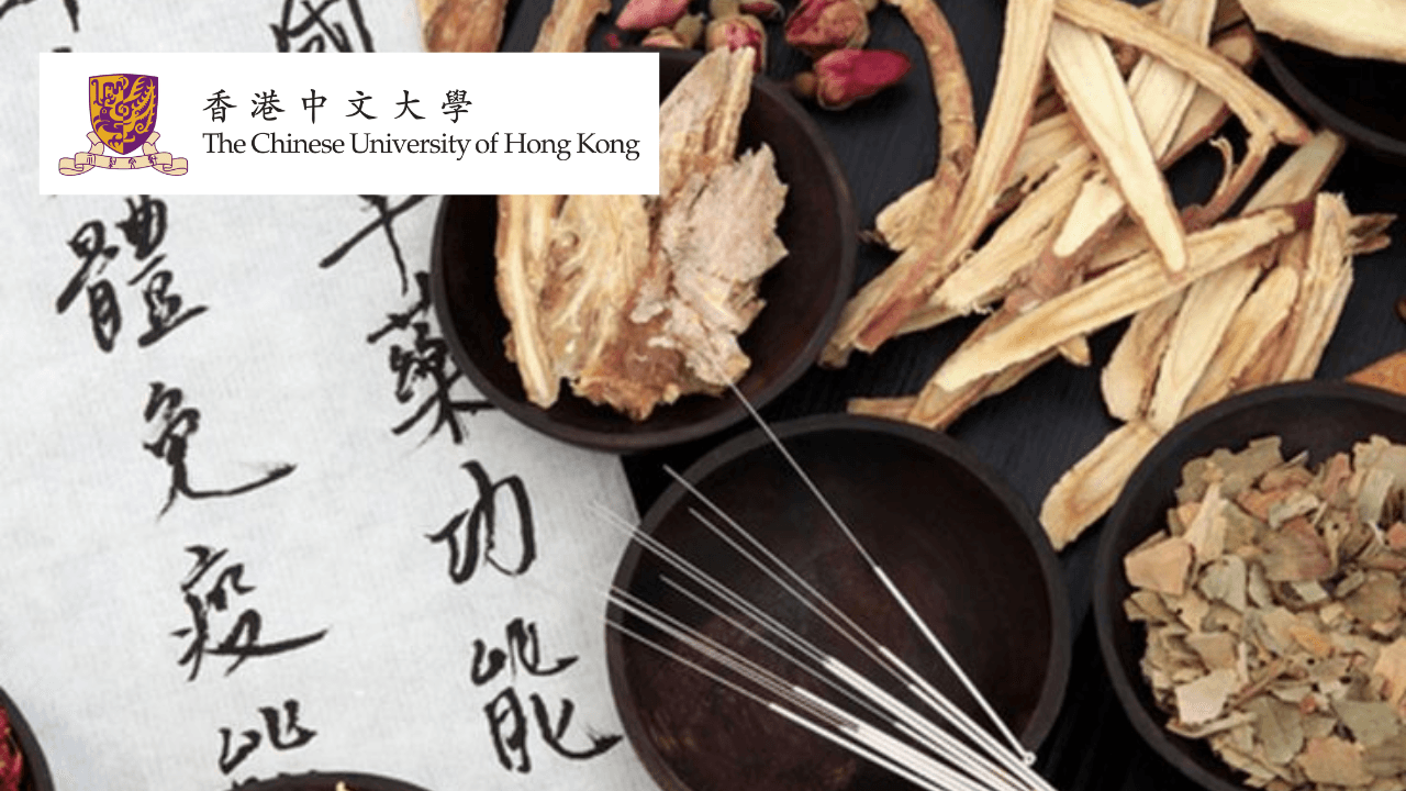 Chinese Medicine Essentials: Theory and Practice