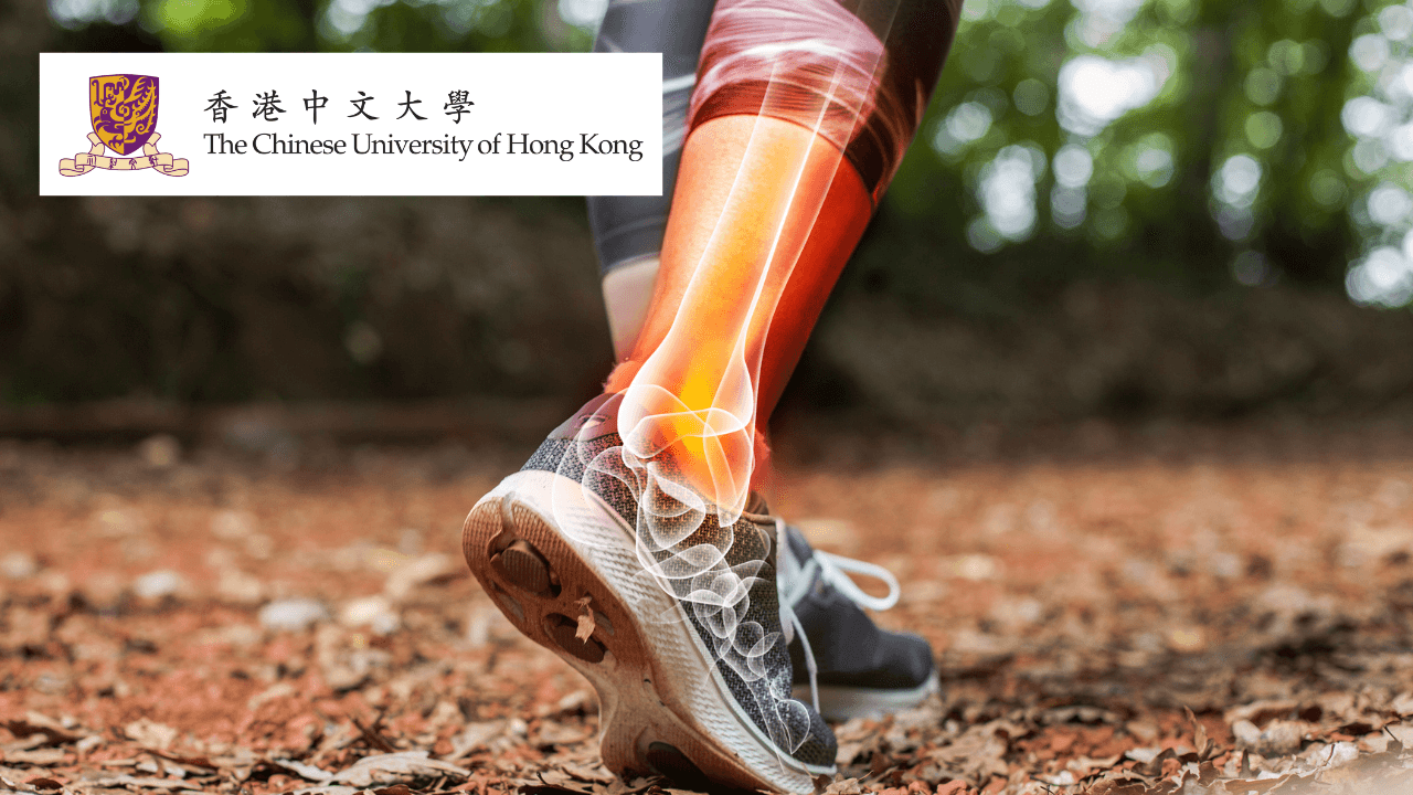 Sports Medicine: Human Physiology Fundamentals