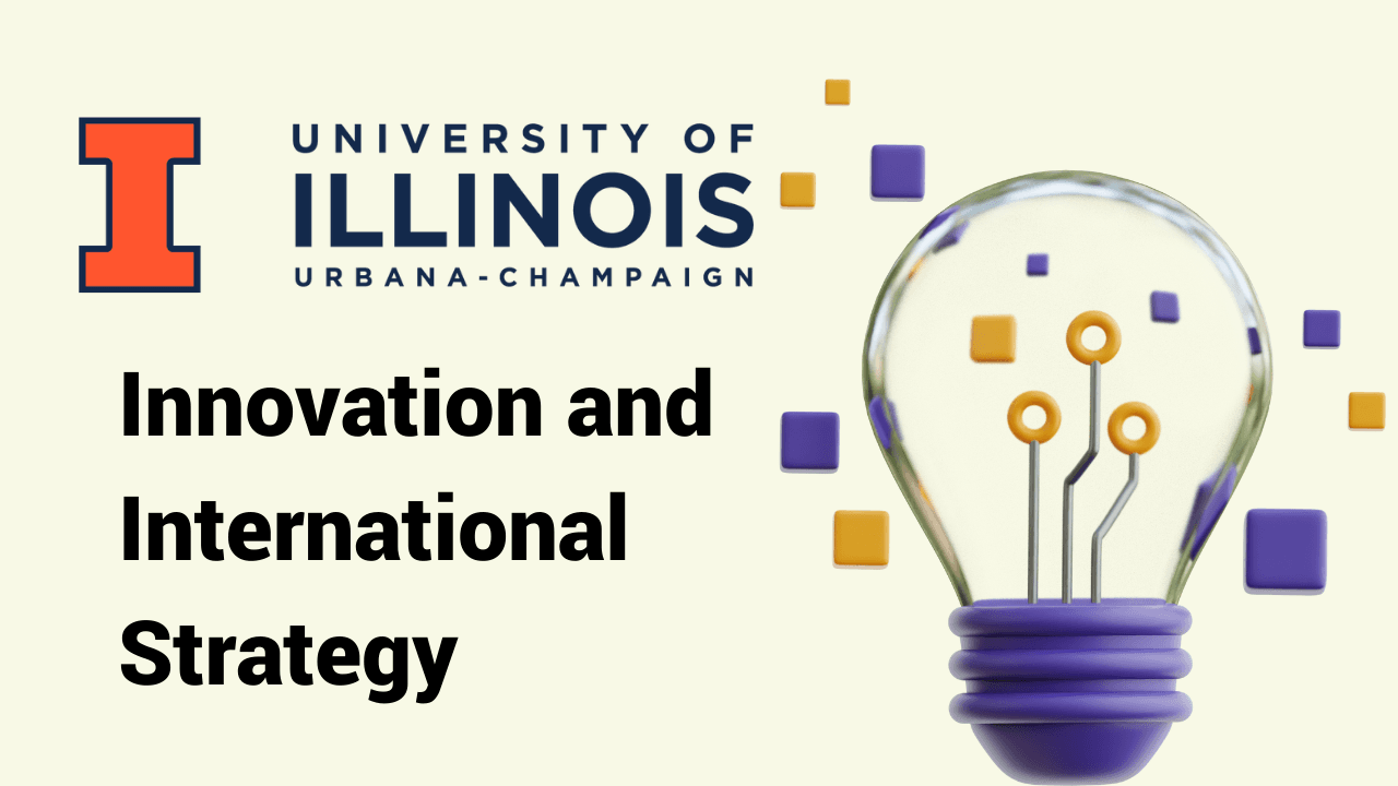 Innovation and International Strategy