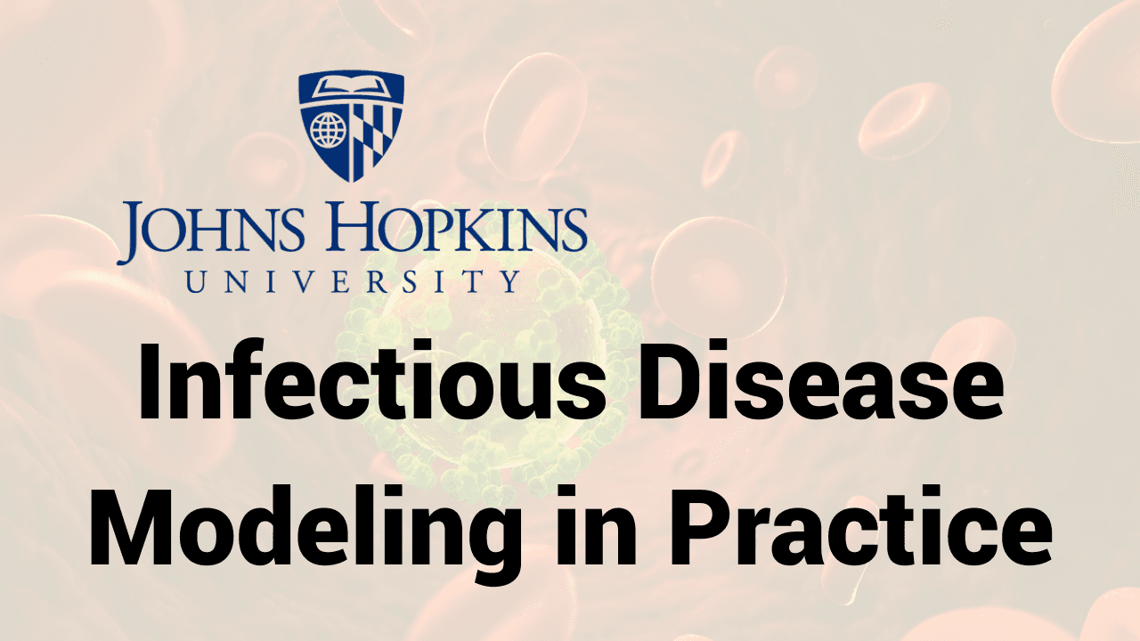 Infectious Disease Modeling in Practice