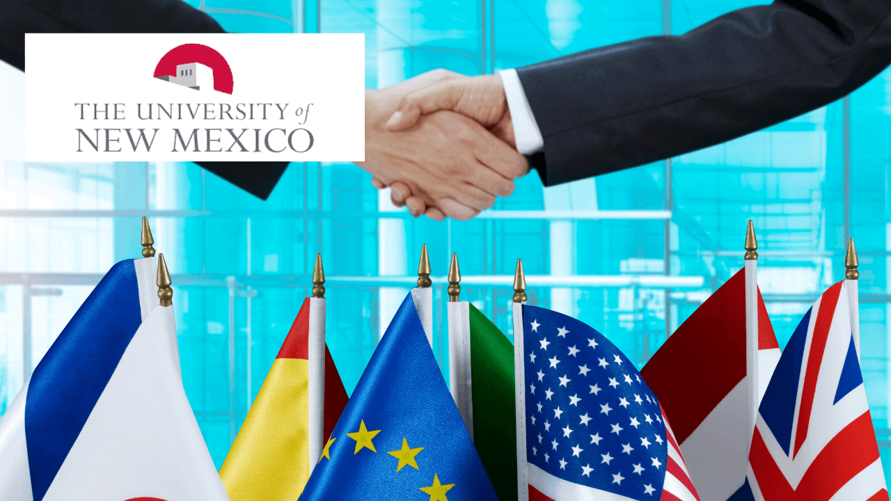 International Business II: Managing Global Organizations