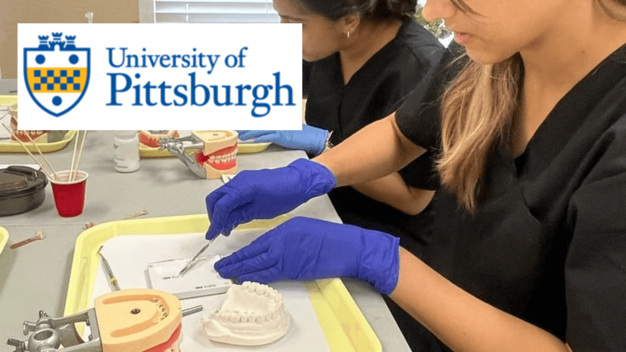 Introduction to Dental Terminology