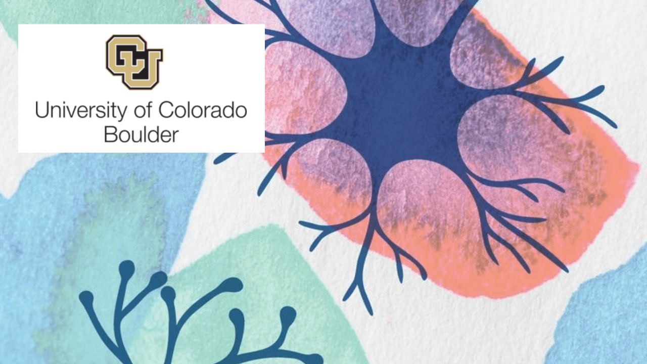 Movement Capabilities Depend on Neuromuscular Properties