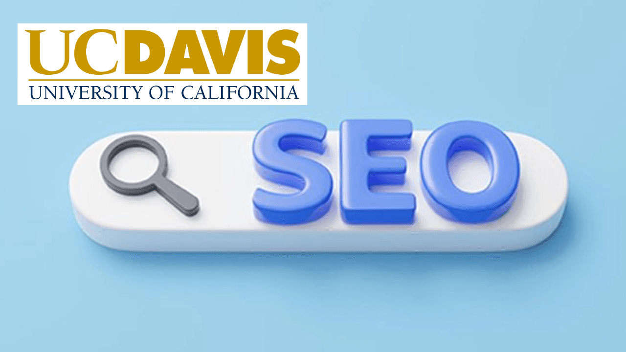 Introduction to Google SEO