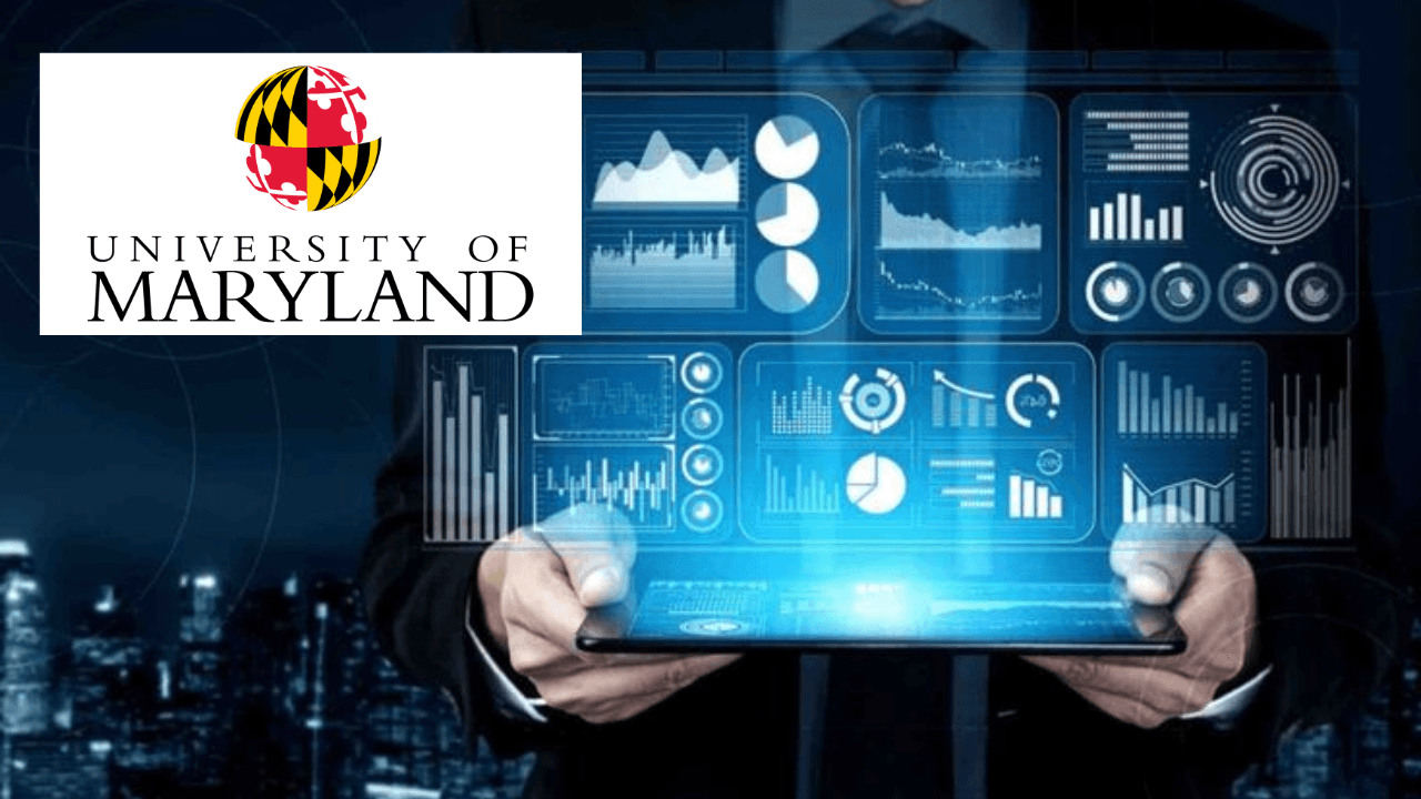 Transforming with Data Analytics and Organization