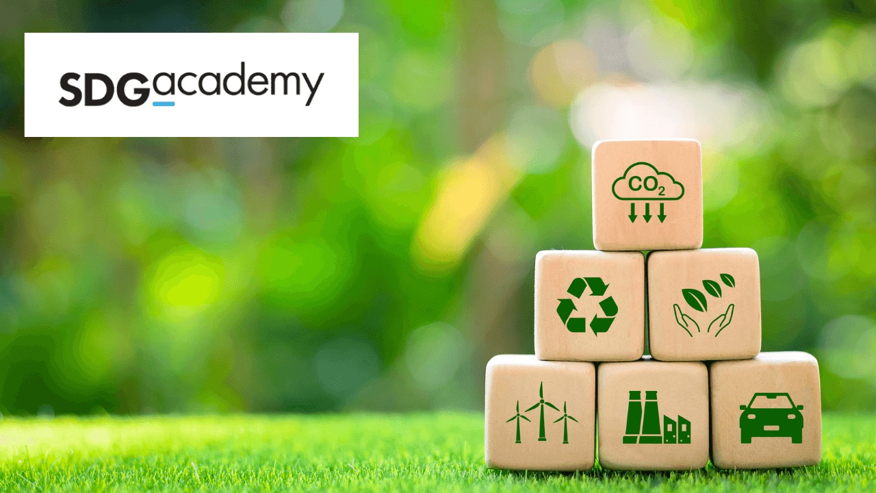 Insurance for Sustainable Development