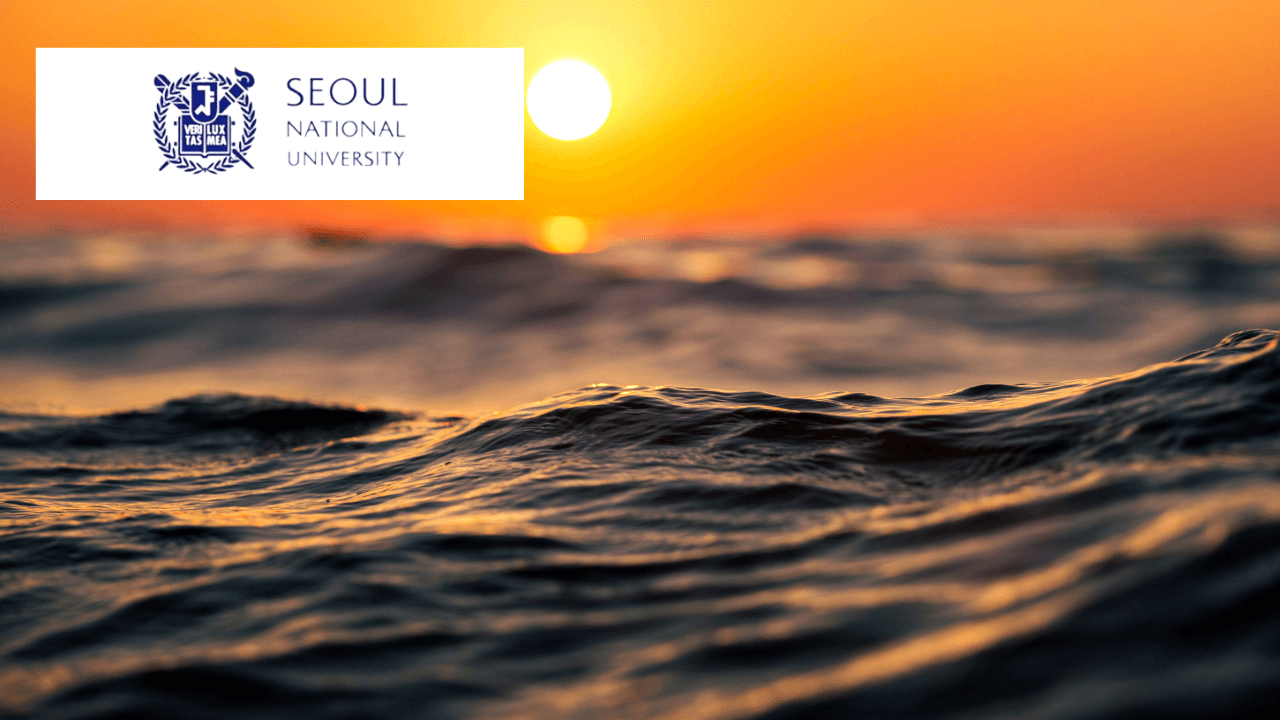 Advanced Water Wave Analysis