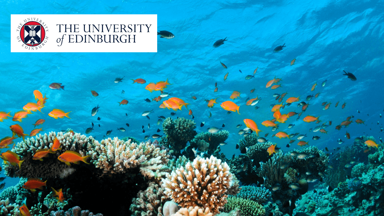 Nitrogen Pollution in Tropical Coral Ecosystems