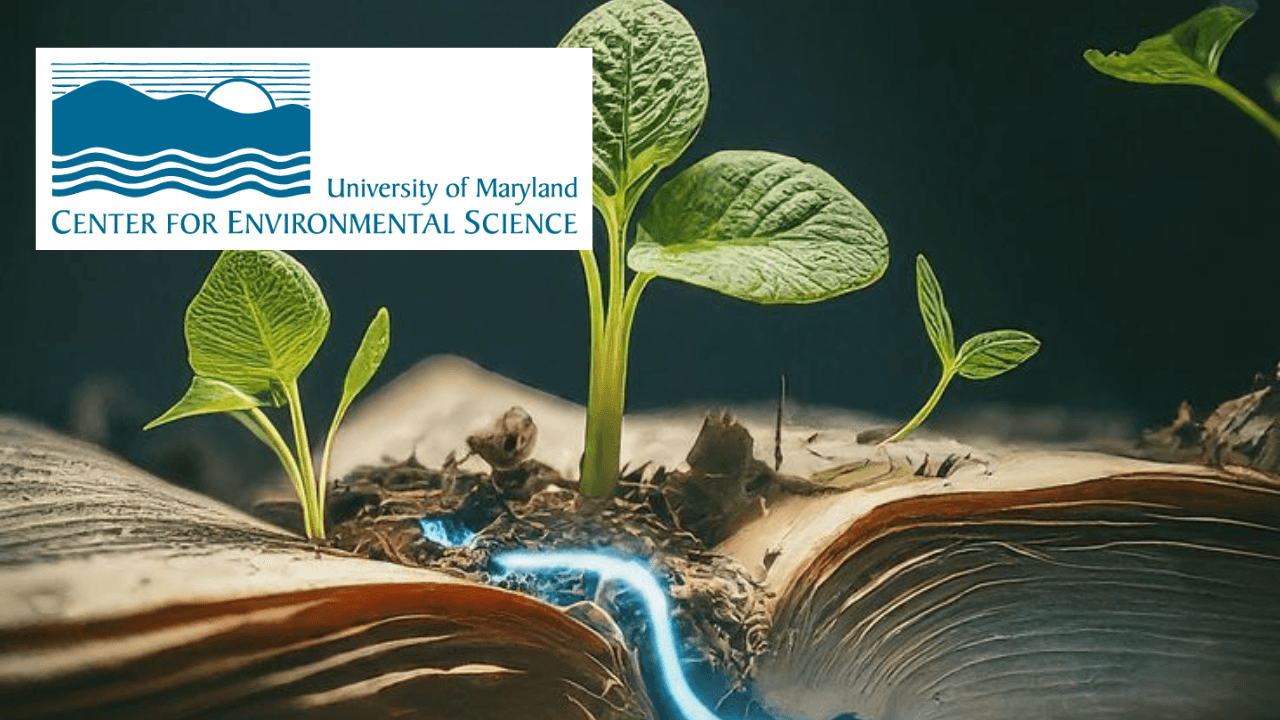 Environmental Science Advisory and Management