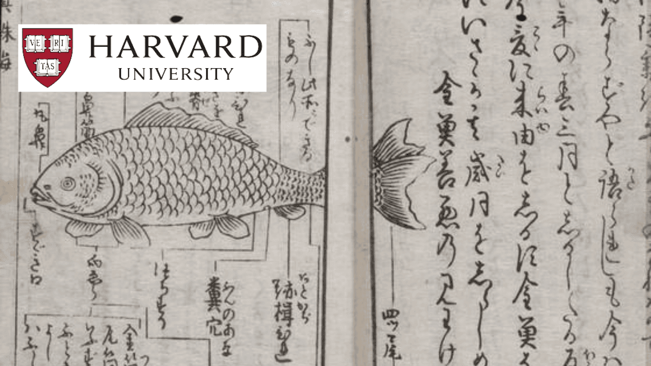 Japanese Books: Exploring Manuscripts to Print
