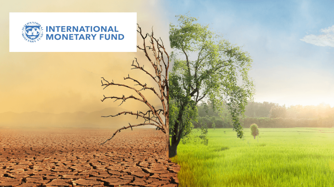 Climate Change Mitigation: Macroeconomic Strategies